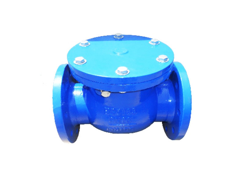 Swing Check Valve