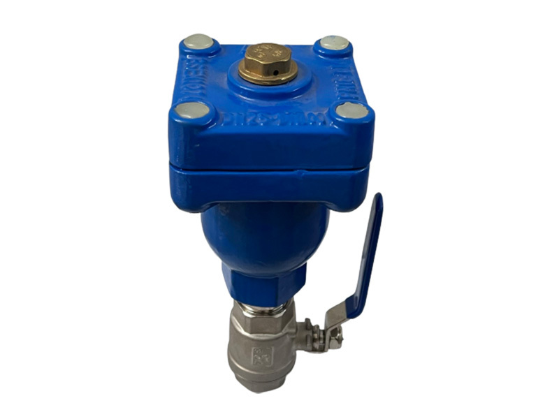 Threaded Exhaust Valve