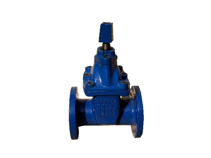 BS5163  Gate Valve