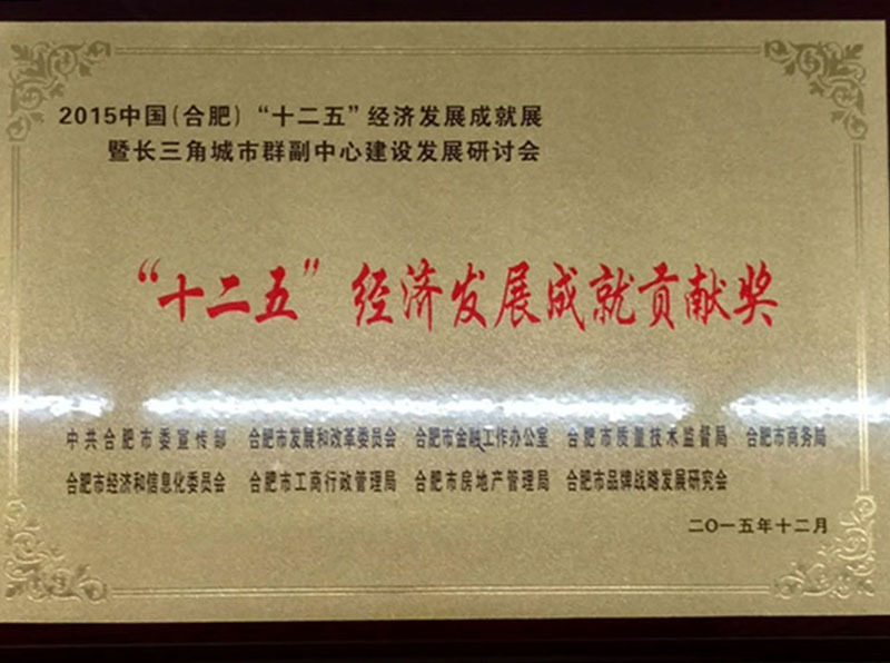 经济发展成就贡献奖