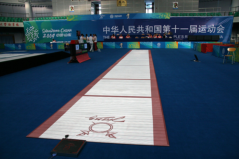 2009年中华人民共和国第十一届运动会