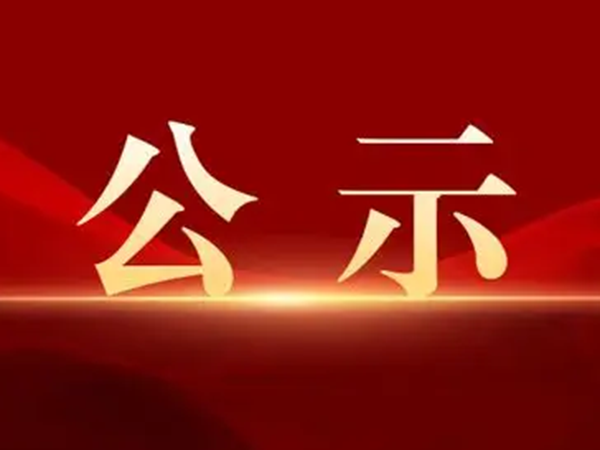 公示