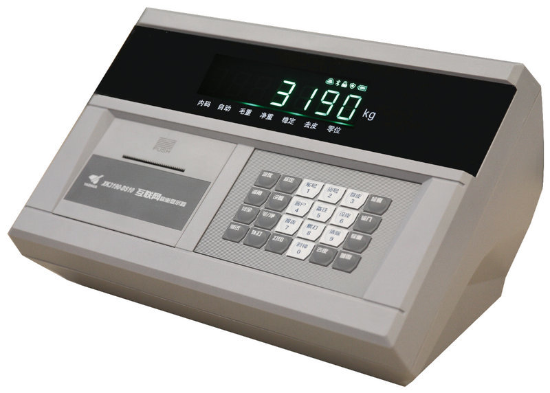 DS10 IoT weighing instrument