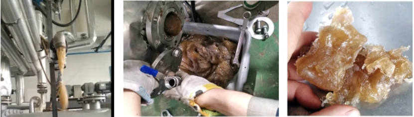 Twin-shaft Self-cleaning KneaderReactor