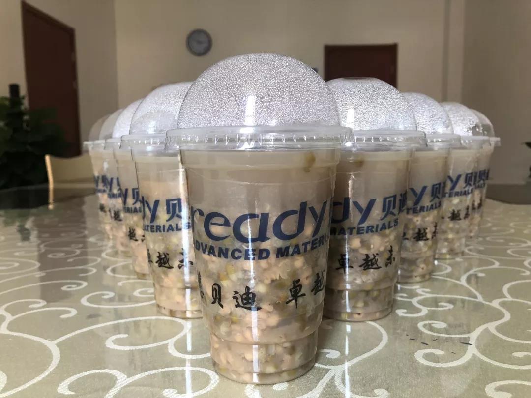 bready.cn