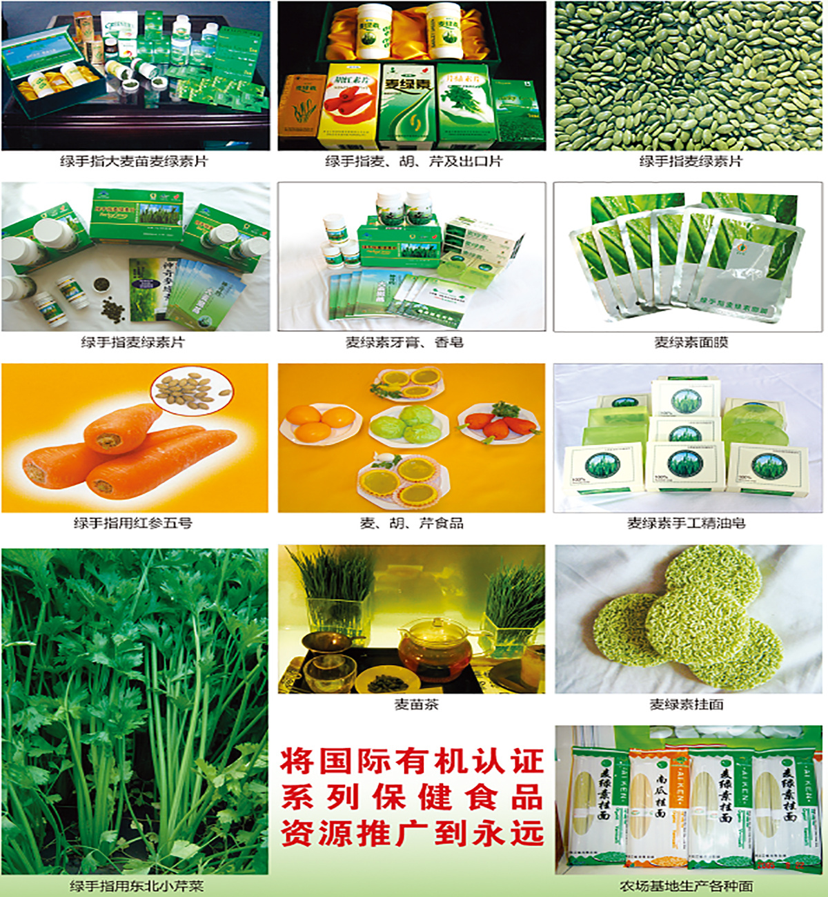 黑龙江华堂科技开发有限公司