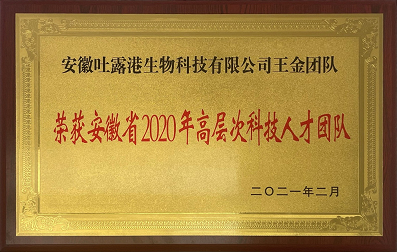 安徽省2020年高层次科技人才团队