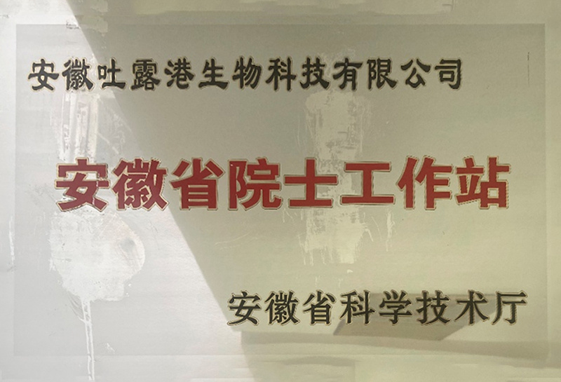 安徽省院士工作站