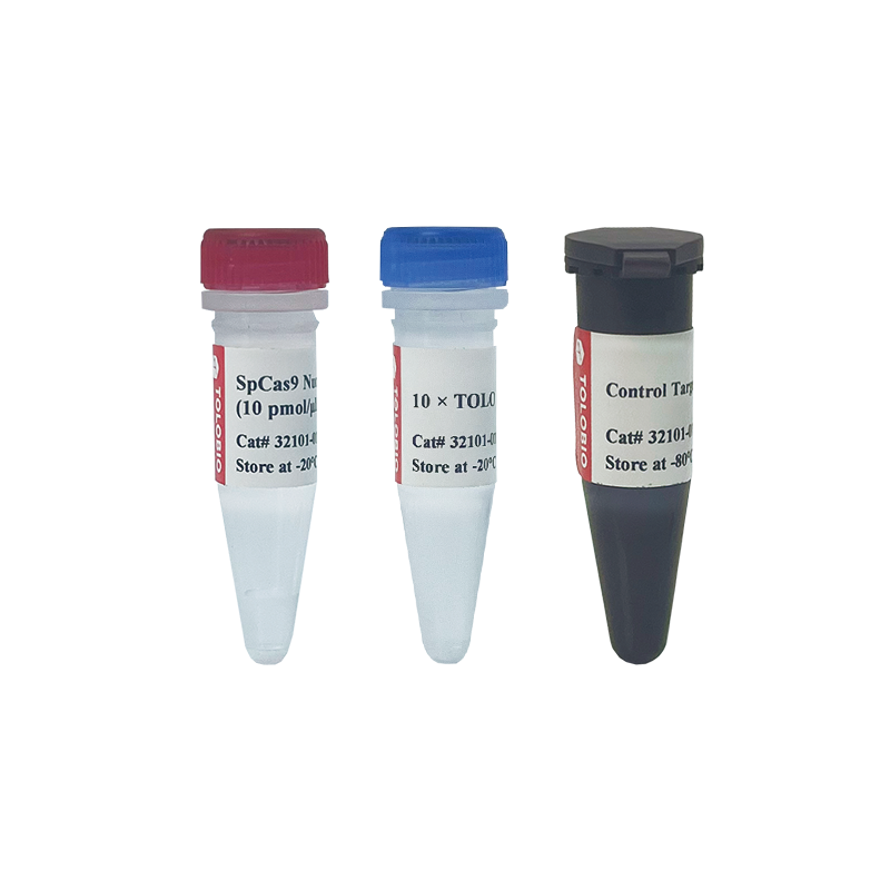 32101 SpCas9 Nuclease