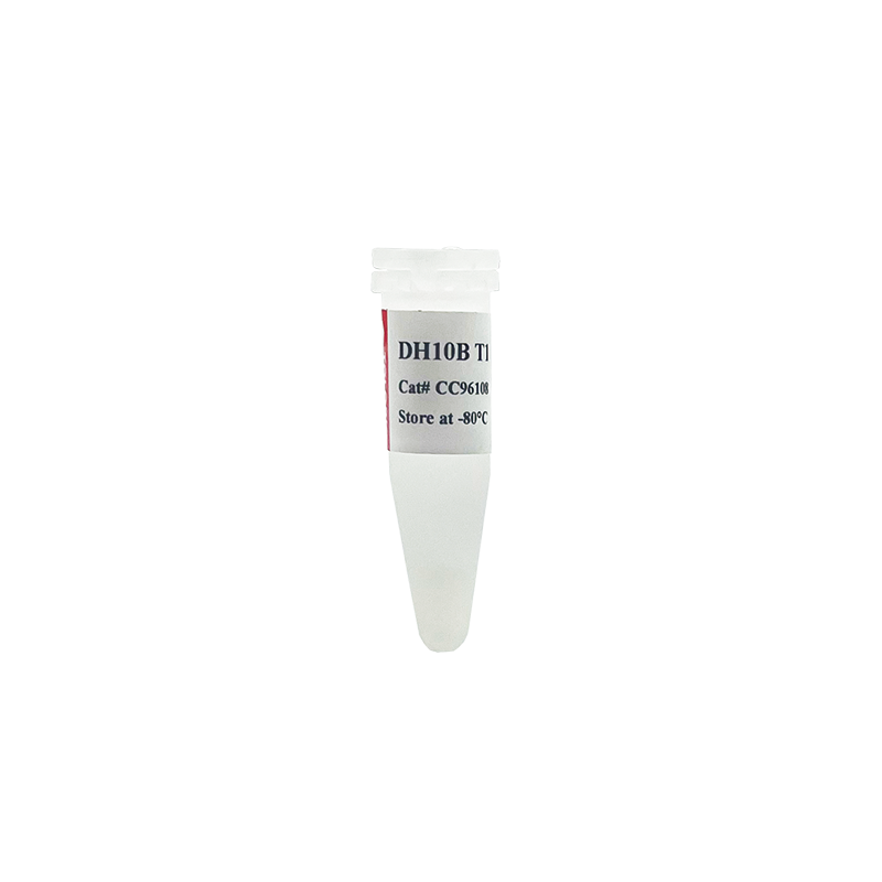 CC96108 DH10B T1