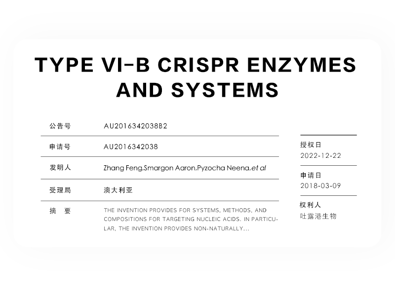 Type VI-B CRISPR enzymes and systems