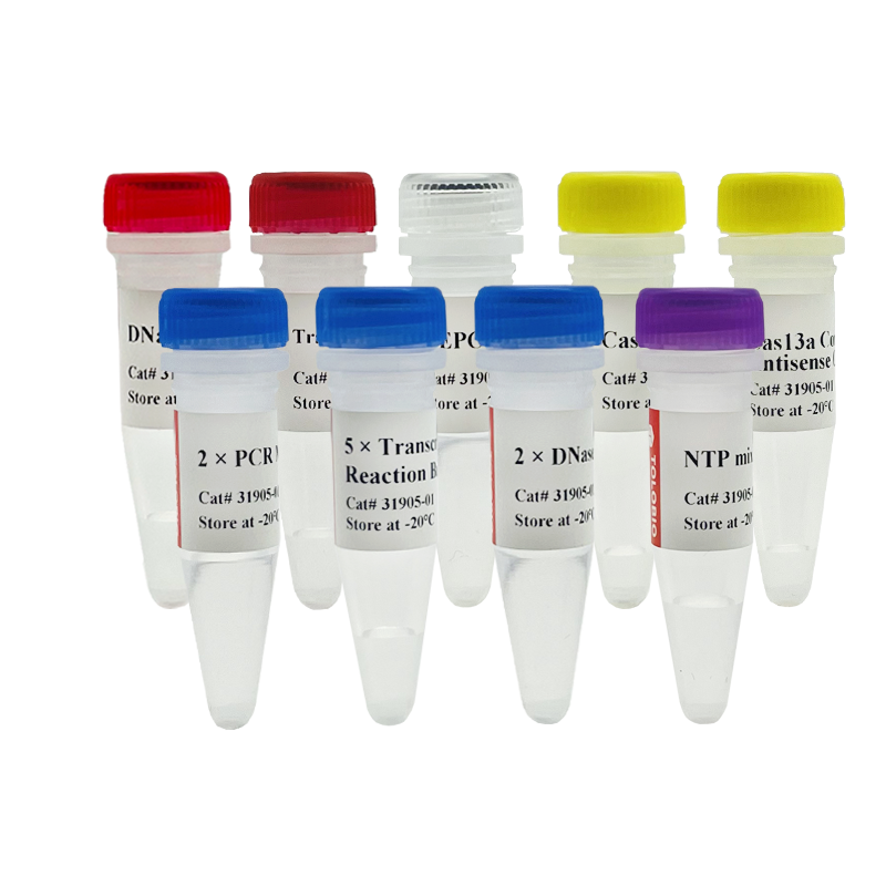 31905 Cas13a High Yield crRNA Synthesis and Purification Kit