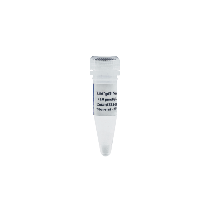 V32108E LbCas12a (Cpf1) Nuclease（冻干粉）