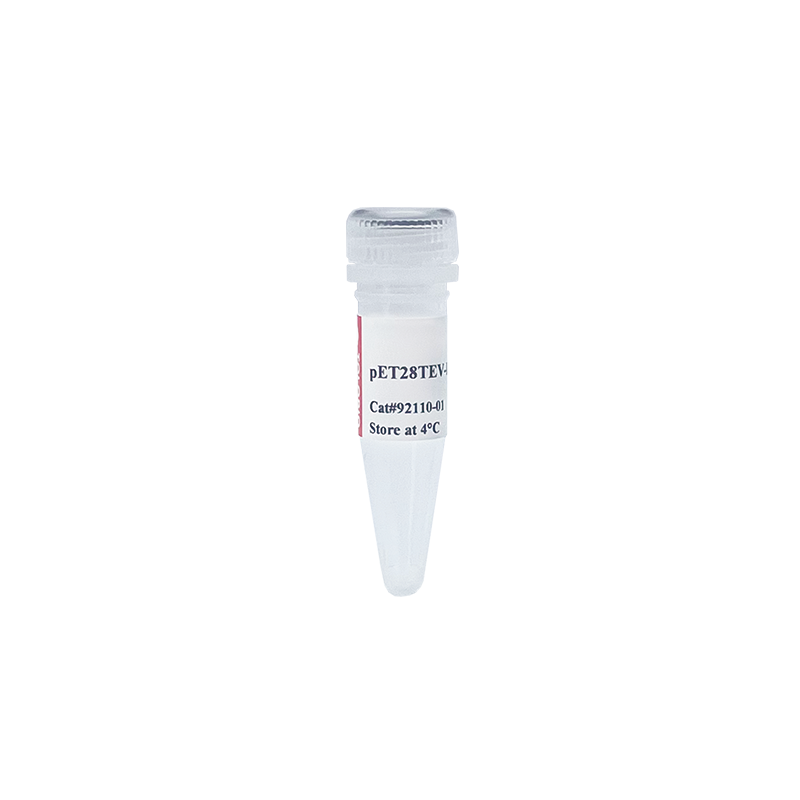 92110 pET28TEV-Lb5Cas12a