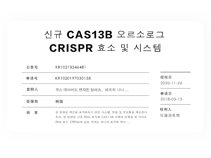 신규 CAS13B 오르소로그 CRISPR 효소 및 시스템 신규 CAS13B 오르소로그 CRISPR 효소 및 시스템