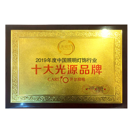 2019年度十大光源品牌