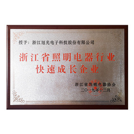 浙江省照明電器行業快速成長企業