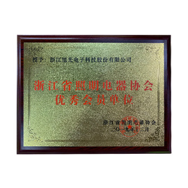 Excellent member unit of Zhejiang Lighting Appliance Association