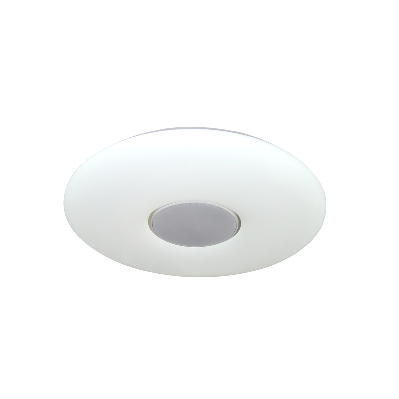Bluetooth music ceiling lamp