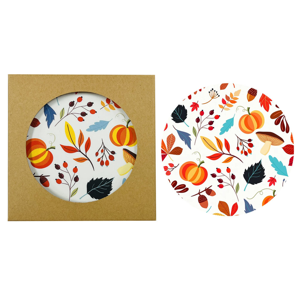 Sannyic Set of 6 Felt Coasters 4x4 inches