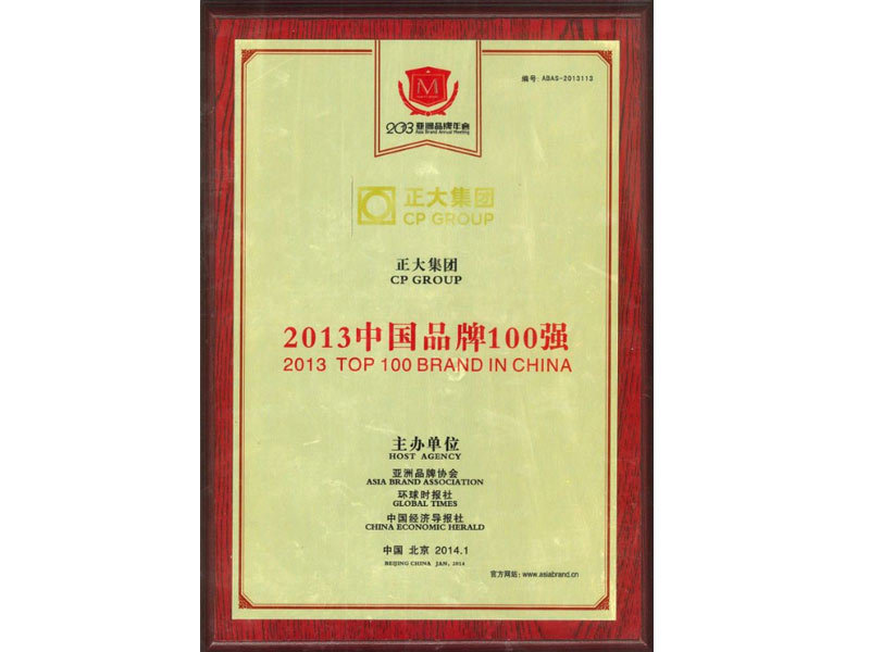 2013中國(guó)品牌100強(qiáng) 2013中國(guó)品牌100強(qiáng)