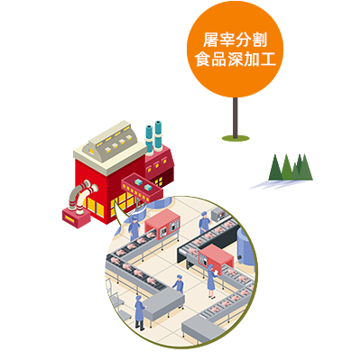屠宰分割食品深加工