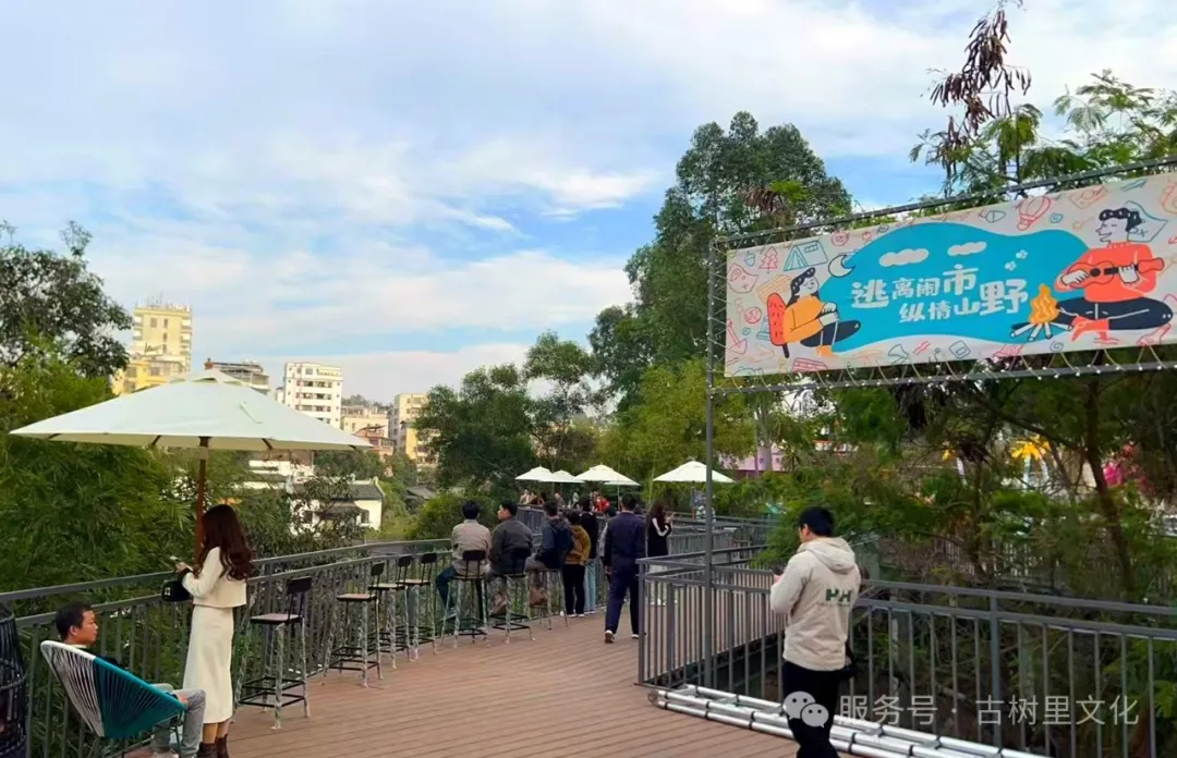 香港内部精准10码免费资料