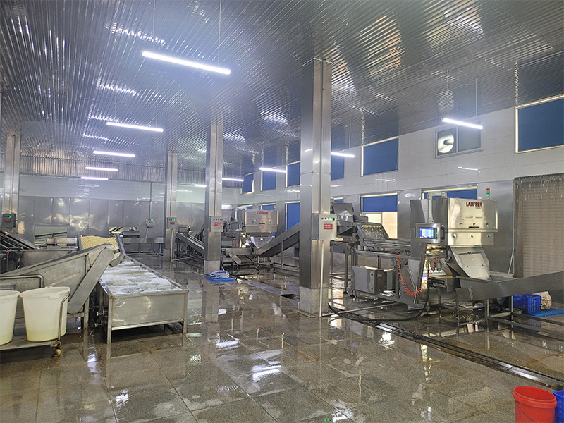 Washing workshop - color sorter only Washing workshop - color sorter only