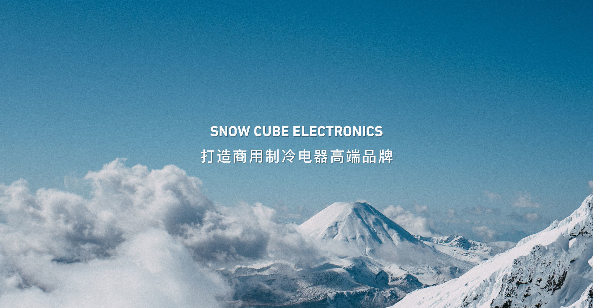 品牌计划
