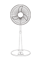 Antique fan