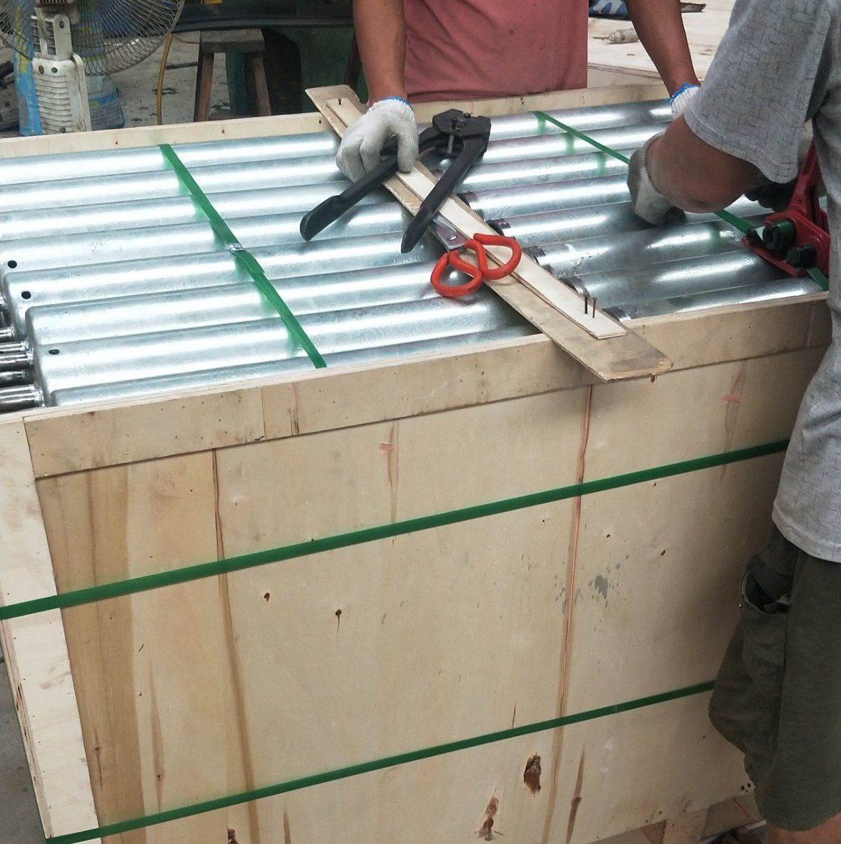 plant and equipment