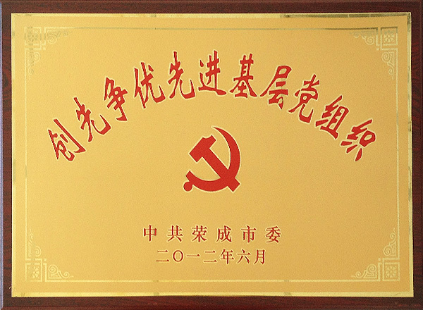 Advanced Grassroots Party Organizations Advanced Grassroots Party Organizations