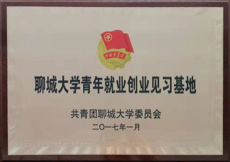 聊城大学青年就业创业见习基地