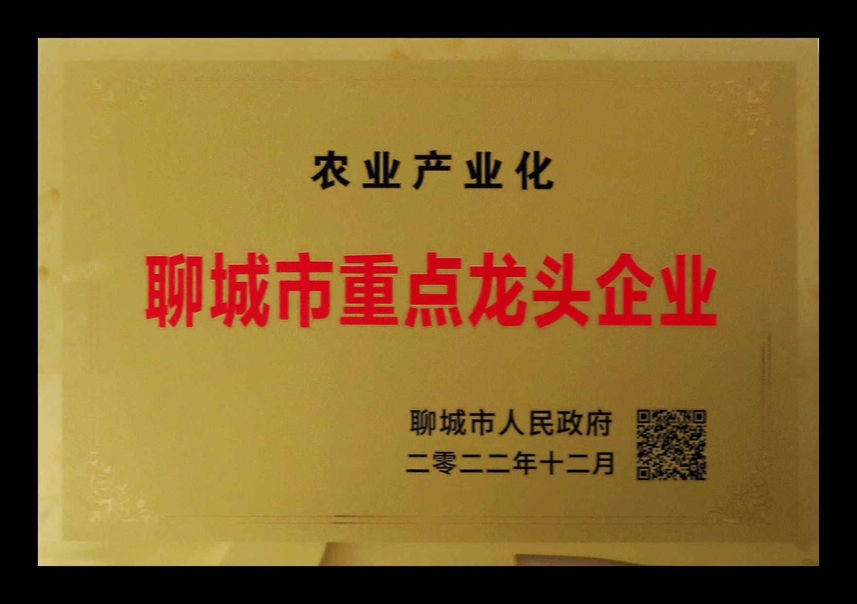 县重点龙头企业