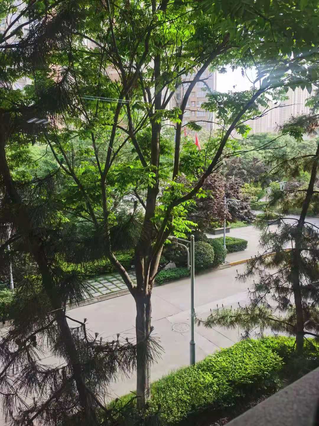 聯(lián)盛能源