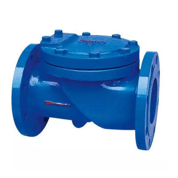 Check valve