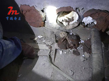 Report on Comprehensive Management of Rat Pests in Fujian Power Station