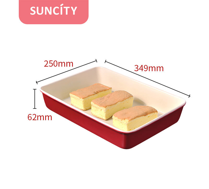 13in Rectangular Roasting Pan YC80245