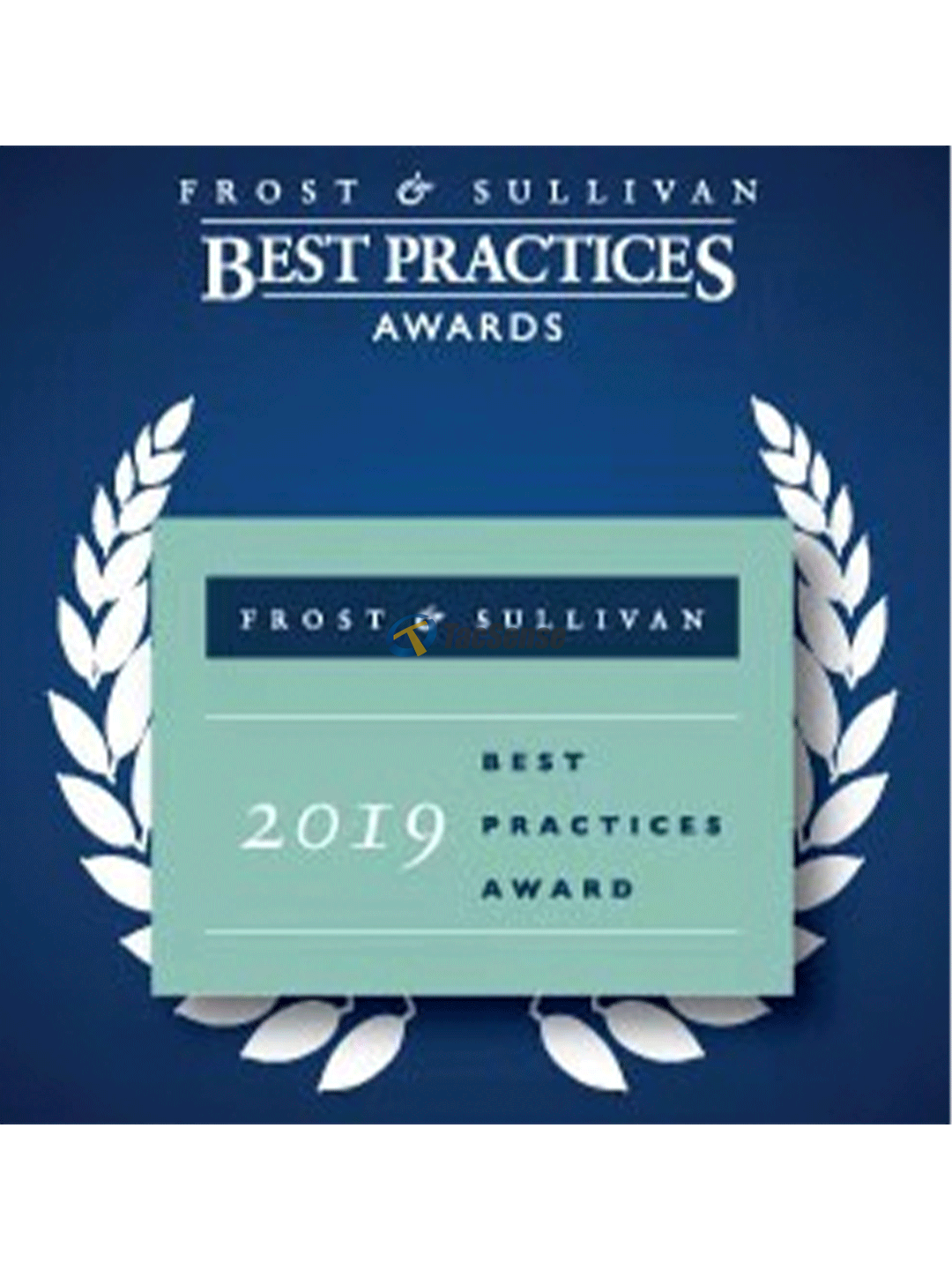 Frost & Sullivan Best Practice Award