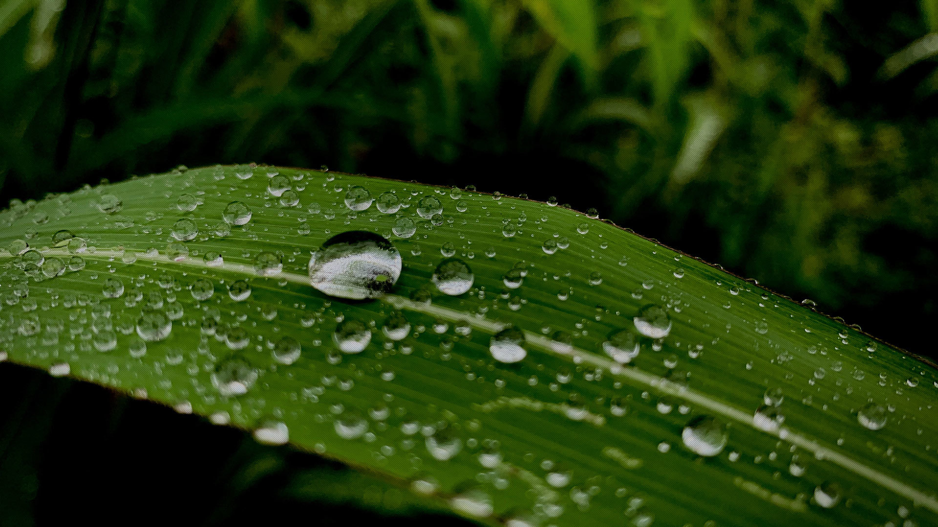 YIXUAN ENVIRONMENTAL PROTECTION