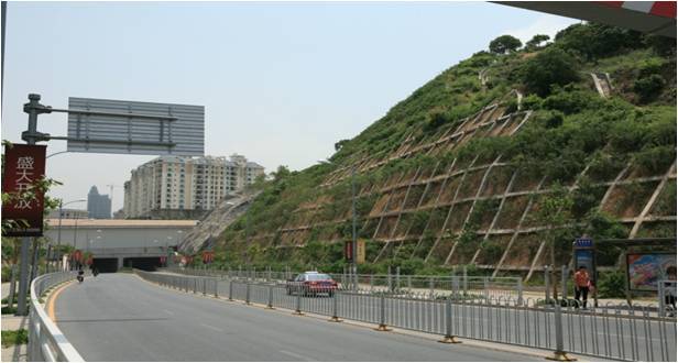 前海路（沿湖路-興海大道）