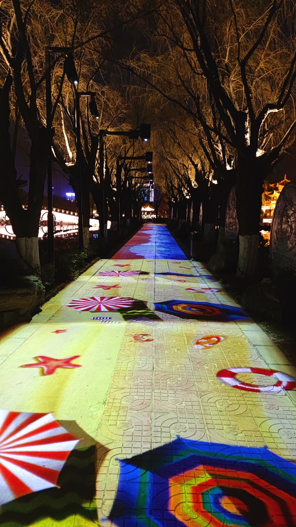 云南大觀公園項目視頻