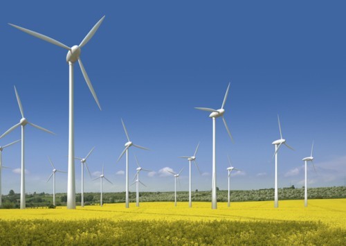 共同促进绿色能源高质量发展