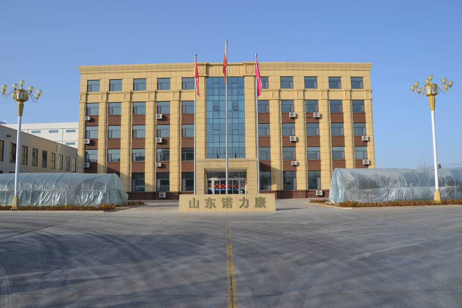 公司實(shí)力