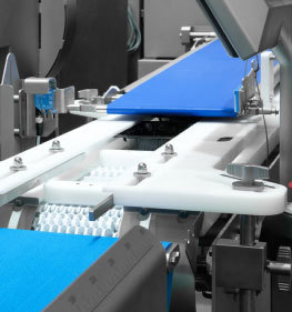 Hygiene industry Hygiene industry