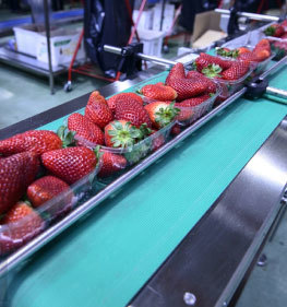Packaging Packaging