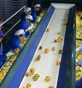 Food industry Food industry
