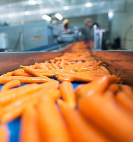 Food industry Food industry