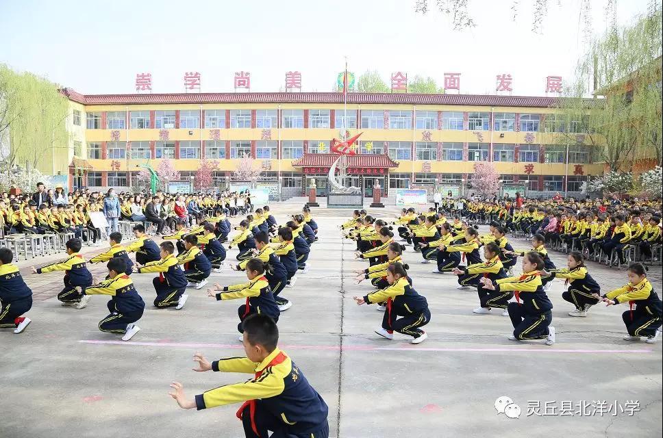 柳翠花紅春正好，英姿颯爽少年行——北洋小學(xué)舉辦第三屆學(xué)生武術(shù)操比賽