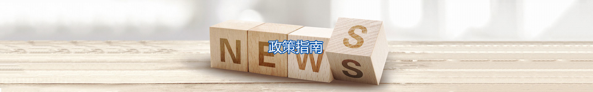政策指南